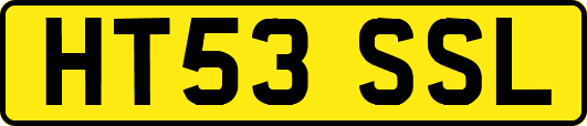 HT53SSL