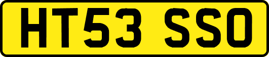 HT53SSO