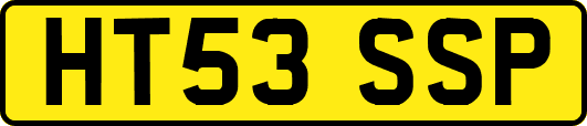 HT53SSP