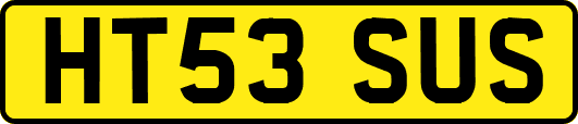HT53SUS