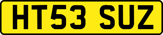 HT53SUZ