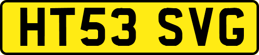 HT53SVG