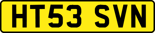 HT53SVN