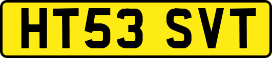 HT53SVT