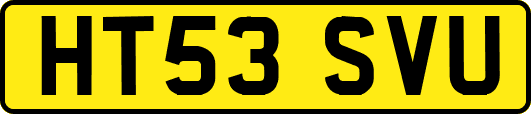 HT53SVU