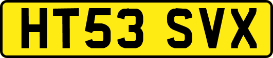 HT53SVX