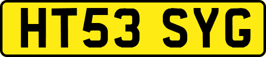 HT53SYG