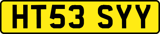 HT53SYY