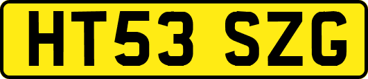 HT53SZG