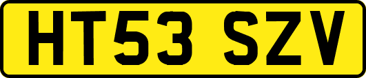 HT53SZV