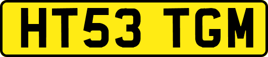 HT53TGM