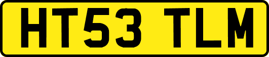 HT53TLM