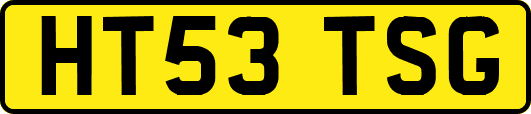 HT53TSG