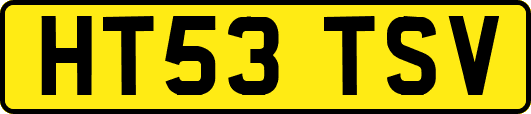 HT53TSV