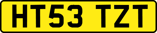 HT53TZT