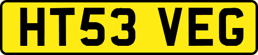 HT53VEG