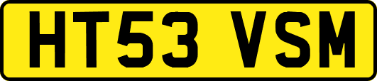 HT53VSM