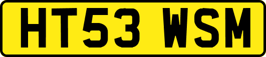 HT53WSM