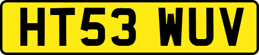 HT53WUV