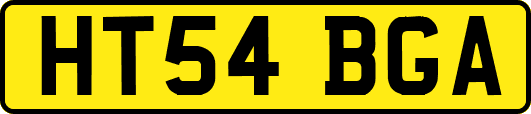 HT54BGA