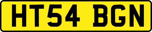 HT54BGN