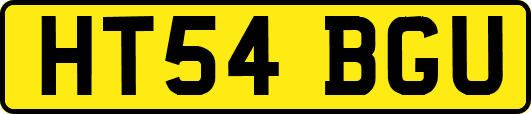 HT54BGU