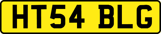 HT54BLG