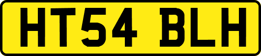 HT54BLH