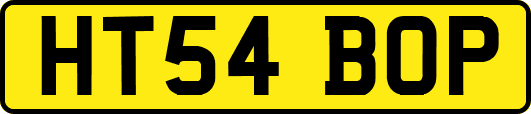 HT54BOP