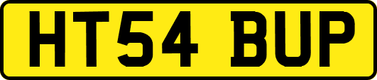 HT54BUP