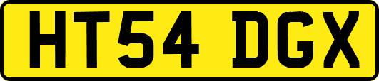HT54DGX