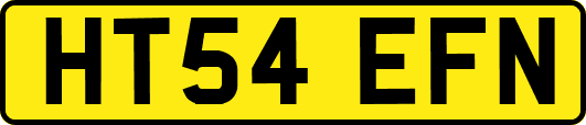 HT54EFN