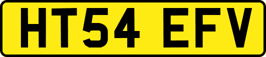 HT54EFV