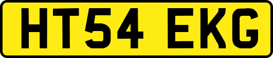 HT54EKG