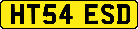 HT54ESD