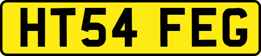 HT54FEG