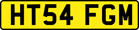 HT54FGM