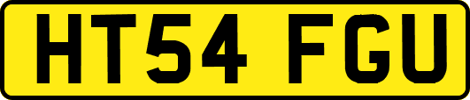HT54FGU