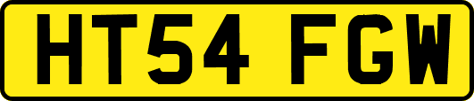 HT54FGW