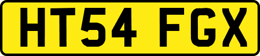 HT54FGX