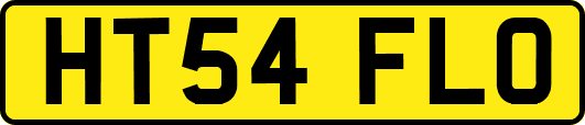 HT54FLO