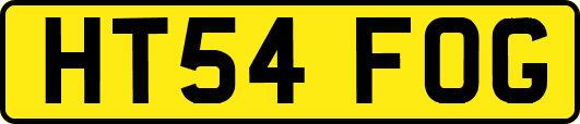 HT54FOG
