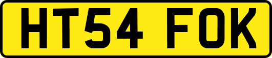 HT54FOK