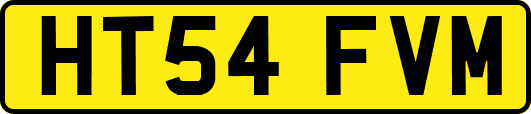 HT54FVM
