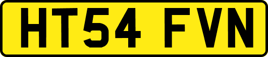 HT54FVN