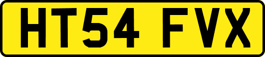 HT54FVX