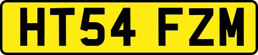 HT54FZM