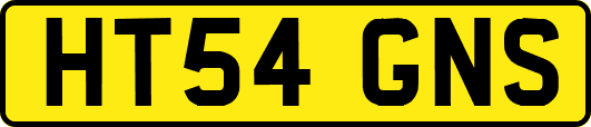 HT54GNS