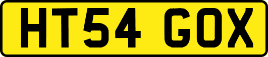 HT54GOX