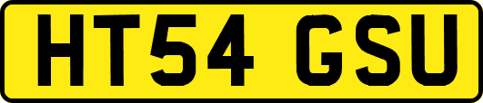 HT54GSU